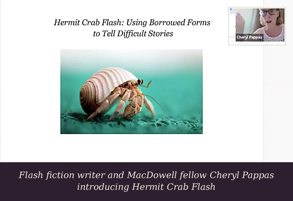 Cheryl Pappas introducing Hermit Crab Flash to the Survival Kit Writing Collective